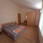 Bizone Lejlighed