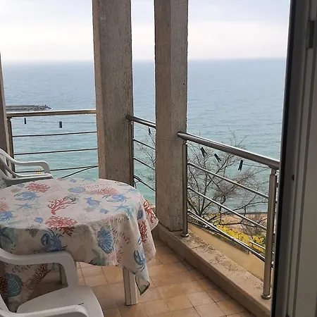 Bizone * Cavarna